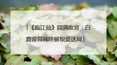 《临江仙》圆满收官：白鹿曾舜晞终解恨爱迷局