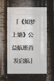 《如梦上塘》公益航班首发启航