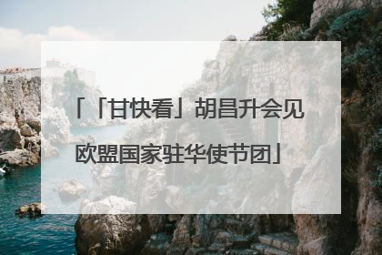 「甘快看」胡昌升会见欧盟国家驻华使节团