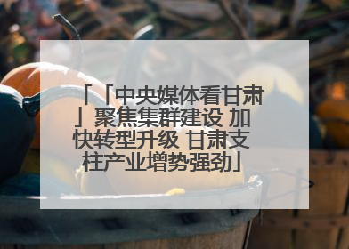 「中央媒体看甘肃」聚焦集群建设 加快转型升级 甘肃支柱产业增势强劲
