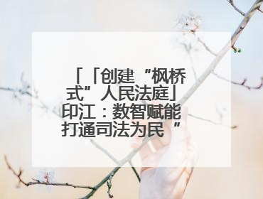 「创建“枫桥式”人民法庭」印江：数智赋能打通司法为民“最后一公里”