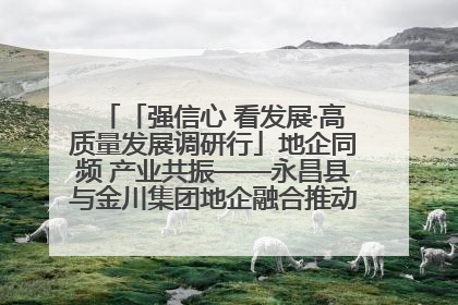「强信心 看发展·高质量发展调研行」地企同频 产业共振——永昌县与金川集团地企融合推动重大项目建设