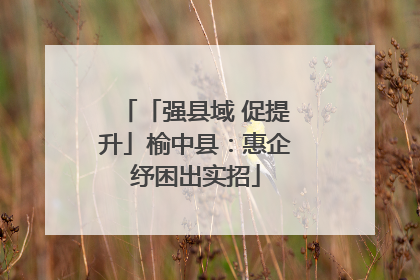 「强县域 促提升」榆中县：惠企纾困出实招