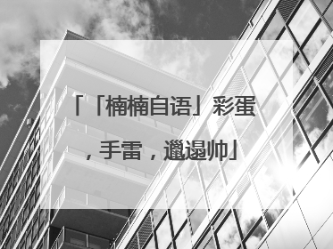 「楠楠自语」彩蛋，手雷，邋遢帅