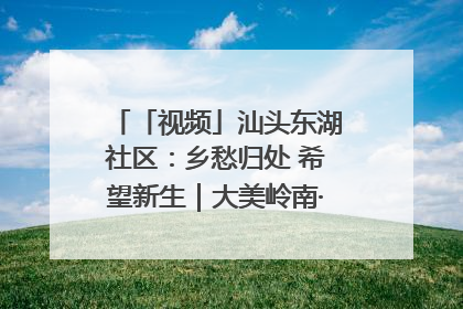 「视频」汕头东湖社区：乡愁归处 希望新生｜大美岭南·百村焕新记