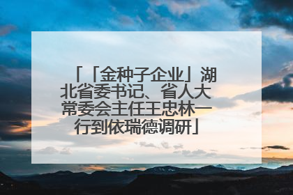 「金种子企业」湖北省委书记、省人大常委会主任王忠林一行到依瑞德调研