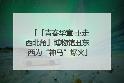 「青春华章·重走西北角」博物馆丑东西为“神马”爆火