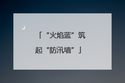 “火焰蓝”筑起“防汛墙”