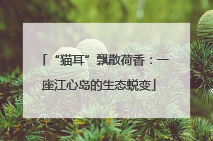 “猫耳”飘散荷香：一座江心岛的生态蜕变