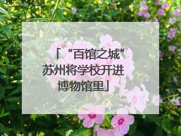 “百馆之城”苏州将学校开进博物馆里