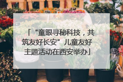 “童眼寻秘科技，共筑友好长安”儿童友好主题活动在西安举办