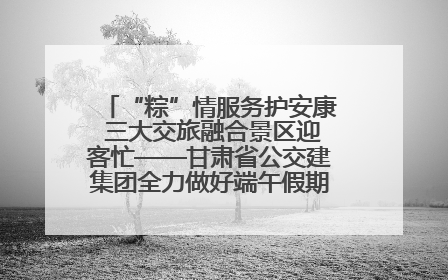 “粽”情服务护安康 三大交旅融合景区迎客忙——甘肃省公交建集团全力做好端午假期景区运营工作