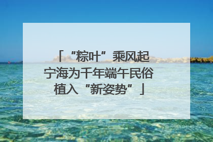 “粽叶”乘风起 宁海为千年端午民俗植入“新姿势”