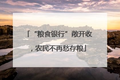 “粮食银行”敞开收，农民不再愁存粮