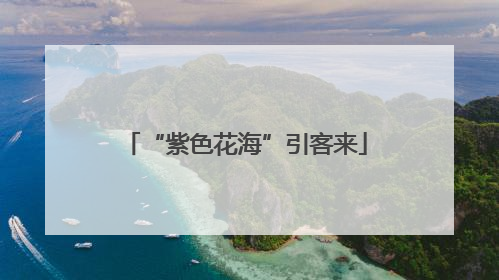 “紫色花海”引客来