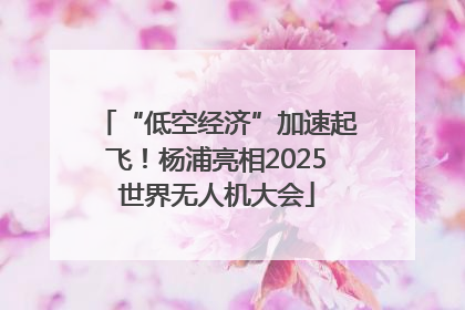 “低空经济”加速起飞！杨浦亮相2025世界无人机大会