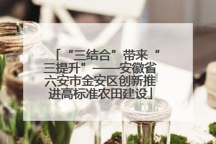 “三结合”带来“三提升”——安徽省六安市金安区创新推进高标准农田建设