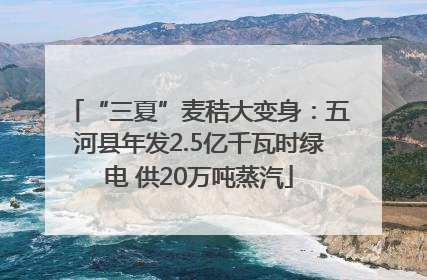 “三夏”麦秸大变身：五河县年发2.5亿千瓦时绿电 供20万吨蒸汽