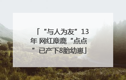 “与人为友”13年 网红麋鹿“点点”已产下8胎幼崽