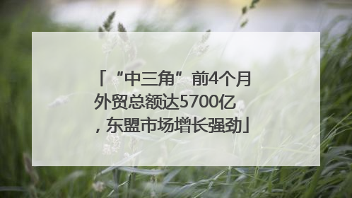 “中三角”前4个月外贸总额达5700亿，东盟市场增长强劲