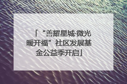 “善耀星城·微光暖开福”社区发展基金公益季开启