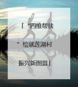 “四维帮扶”绘就莲湖村振兴新图景