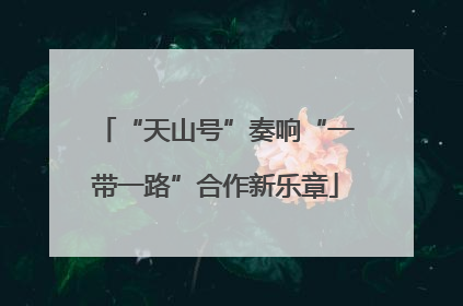 “天山号”奏响“一带一路”合作新乐章