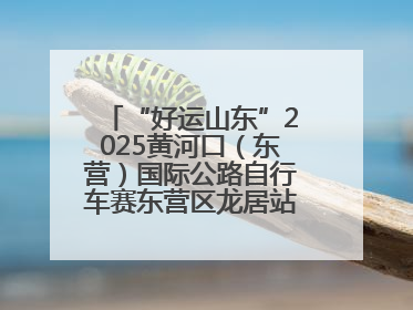 “好运山东”2025黄河口（东营）国际公路自行车赛东营区龙居站 完美“抄作业”，苦战最后时刻黄衫易主