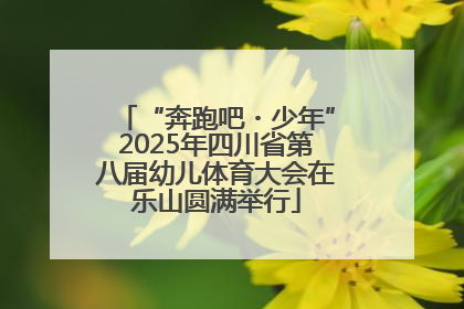 “奔跑吧・少年”2025年四川省第八届幼儿体育大会在乐山圆满举行