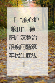 “廉心护粮田” 德阳广汉整治群腐问题筑牢民生底线
