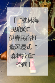“枕林海见鹿踪” 伊春民宿打造沉浸式“森林疗愈”空间