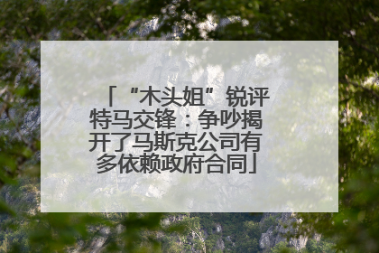 “木头姐”锐评特马交锋：争吵揭开了马斯克公司有多依赖政府合同