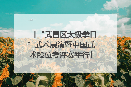“武昌区太极拳日”武术展演暨中国武术段位考评赛举行