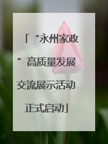“永州家政”高质量发展交流展示活动正式启动