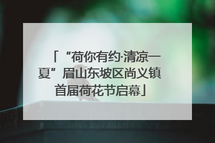 “荷你有约·清凉一夏”眉山东坡区尚义镇首届荷花节启幕