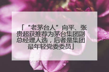 “老茅台人”向平、张贵超获推荐为茅台集团副总经理人选，后者是集团最年轻党委委员