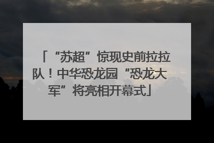 “苏超”惊现史前拉拉队！中华恐龙园“恐龙大军”将亮相开幕式