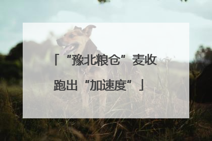 “豫北粮仓”麦收跑出“加速度”
