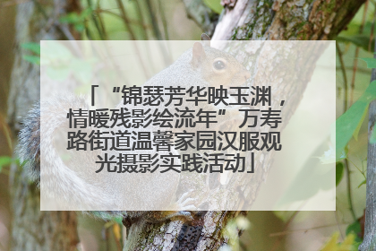 “锦瑟芳华映玉渊，情暖残影绘流年”万寿路街道温馨家园汉服观光摄影实践活动