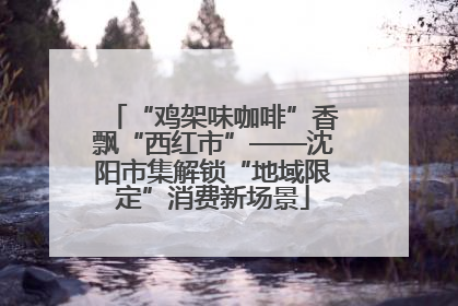 “鸡架味咖啡”香飘“西红市”——沈阳市集解锁“地域限定”消费新场景