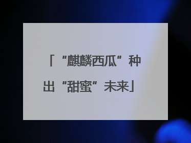 “麒麟西瓜”种出“甜蜜”未来