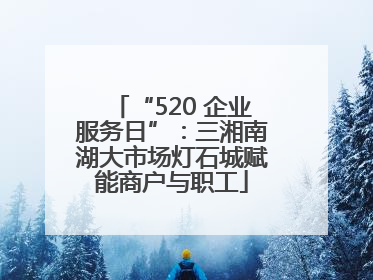 “520 企业服务日”：三湘南湖大市场灯石城赋能商户与职工