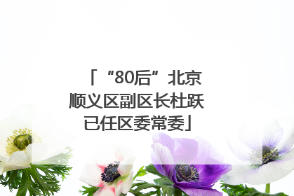 “80后”北京顺义区副区长杜跃已任区委常委