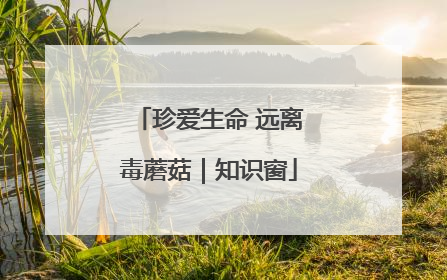 珍爱生命 远离毒蘑菇｜知识窗