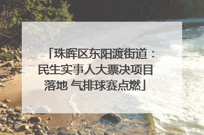 珠晖区东阳渡街道：民生实事人大票决项目落地 气排球赛点燃