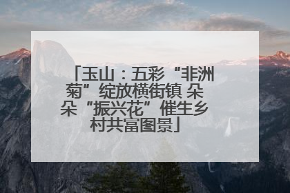 玉山：五彩“非洲菊”绽放横街镇 朵朵“振兴花”催生乡村共富图景