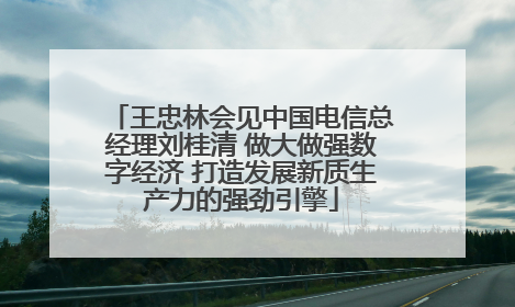 王忠林会见中国电信总经理刘桂清 做大做强数字经济 打造发展新质生产力的强劲引擎