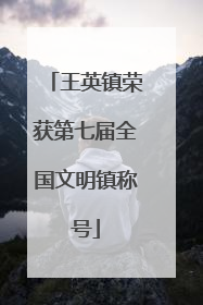 王英镇荣获第七届全国文明镇称号