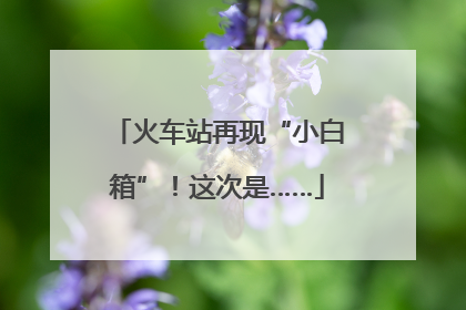 火车站再现“小白箱”！这次是……