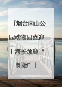 烟台南山公园动物园喜迎上海长颈鹿“新娘”